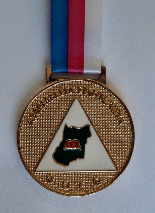 Medalha Mérito Maçônico Legislativo Waltrudes Cunha - verso